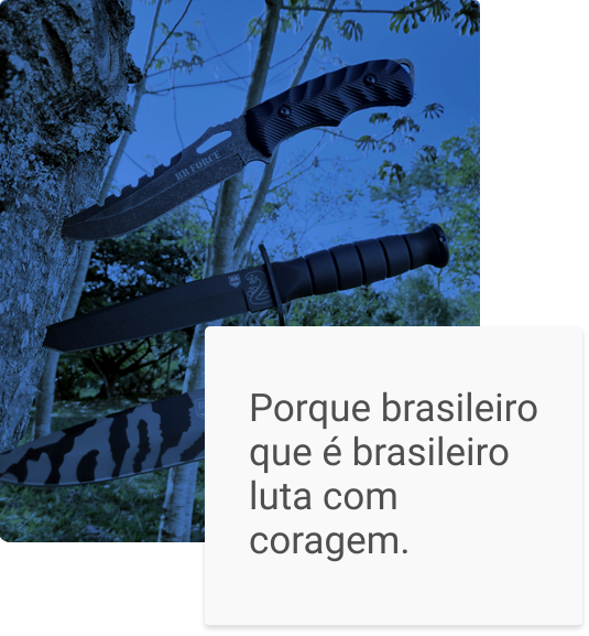 Sessão Lutar de Verdade